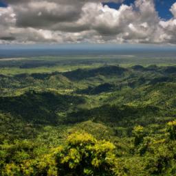 Mount Nimba Strict Nature Reserve erstrahlt in vollem Glanz: Aufgenommen mit einem Weitwinkelobjektiv direkt vor dieser atemberaubenden Sehenswürdigkeit in Elfenbeinküste