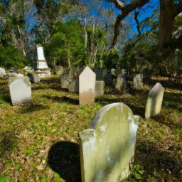 Colonial Park Cemetery erstrahlt in vollem Glanz: Aufgenommen mit einem Weitwinkelobjektiv direkt vor dieser atemberaubenden Sehenswürdigkeit in Savannah