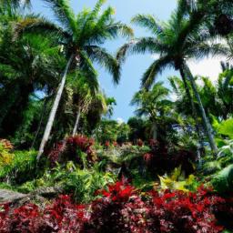 Deshaies Botanical Garden erstrahlt in vollem Glanz: Aufgenommen mit einem Weitwinkelobjektiv direkt vor dieser atemberaubenden Sehenswürdigkeit in Guadeloupe