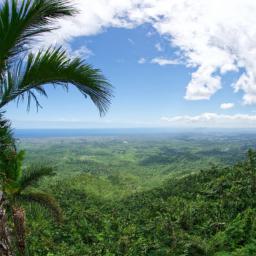 El Yunque Nationalpark erstrahlt in vollem Glanz: Aufgenommen mit einem Weitwinkelobjektiv direkt vor dieser atemberaubenden Sehenswürdigkeit in Kuba
