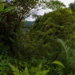 Kokoda Track erstrahlt in vollem Glanz: Aufgenommen mit einem Weitwinkelobjektiv direkt vor dieser atemberaubenden Sehenswürdigkeit in Papua-Neuguinea