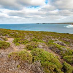 Kangaroo Island erstrahlt in vollem Glanz: Aufgenommen mit einem Weitwinkelobjektiv direkt vor dieser atemberaubenden Sehenswürdigkeit in Australien