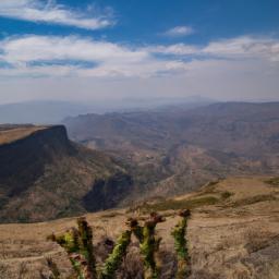 Simien Mountains National Park erstrahlt in vollem Glanz: Aufgenommen mit einem Weitwinkelobjektiv direkt vor dieser atemberaubenden Sehenswürdigkeit in Äthiopien
