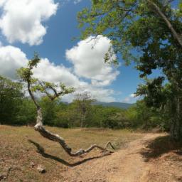 Nationalpark Rincon de la Vieja erstrahlt in vollem Glanz: Aufgenommen mit einem Weitwinkelobjektiv direkt vor dieser atemberaubenden Sehenswürdigkeit in Costa Rica