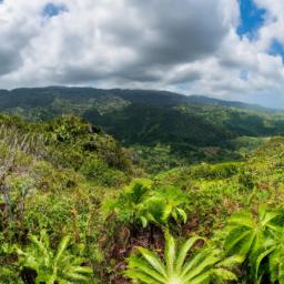 Parc National de la Guadeloupe erstrahlt in vollem Glanz: Aufgenommen mit einem Weitwinkelobjektiv direkt vor dieser atemberaubenden Sehenswürdigkeit in Guadeloupe