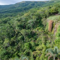 Toro Verde Nature Adventure Park erstrahlt in vollem Glanz: Aufgenommen mit einem Weitwinkelobjektiv direkt vor dieser atemberaubenden Sehenswürdigkeit in Puerto Rico
