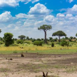 Tarangire Nationalpark erstrahlt in vollem Glanz: Aufgenommen mit einem Weitwinkelobjektiv direkt vor dieser atemberaubenden Sehenswürdigkeit in Tansania